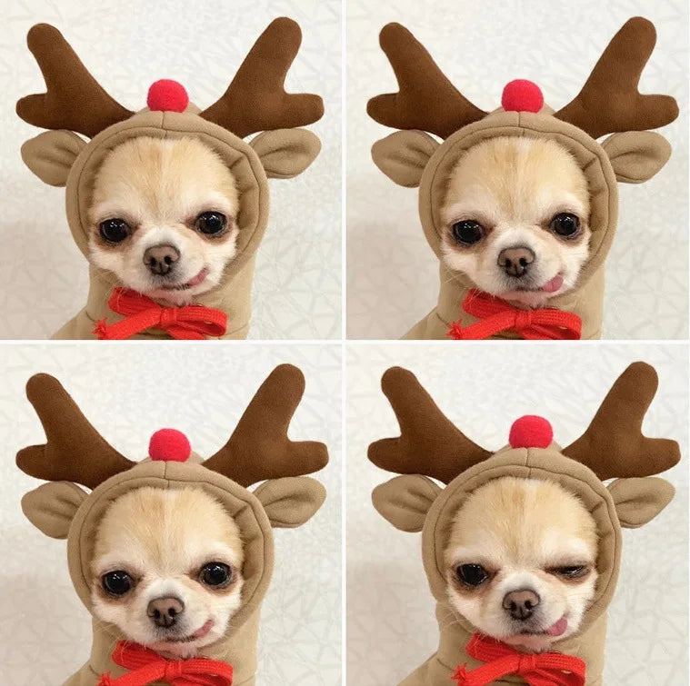 Fruits Transform Into Dogs Cats Small and Medium Sized Dogs Autumn and Winter Hoodies Fleece Clothes Supplies