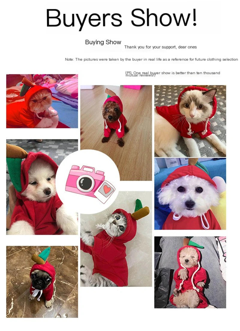 Fruits Transform Into Dogs Cats Small and Medium Sized Dogs Autumn and Winter Hoodies Fleece Clothes Supplies