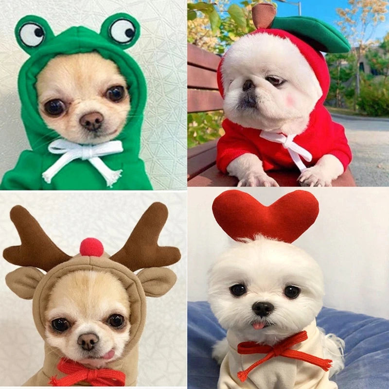 Fruits Transform Into Dogs Cats Small and Medium Sized Dogs Autumn and Winter Hoodies Fleece Clothes Supplies