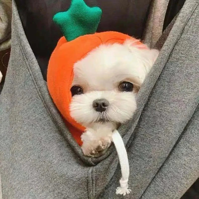 1pc New Dog Hoodie Clothes Cute Design Sweater Coat Carrot Shape Warm Fleece Outdoor Pet Outfit Outerwear for Dogs Puppy