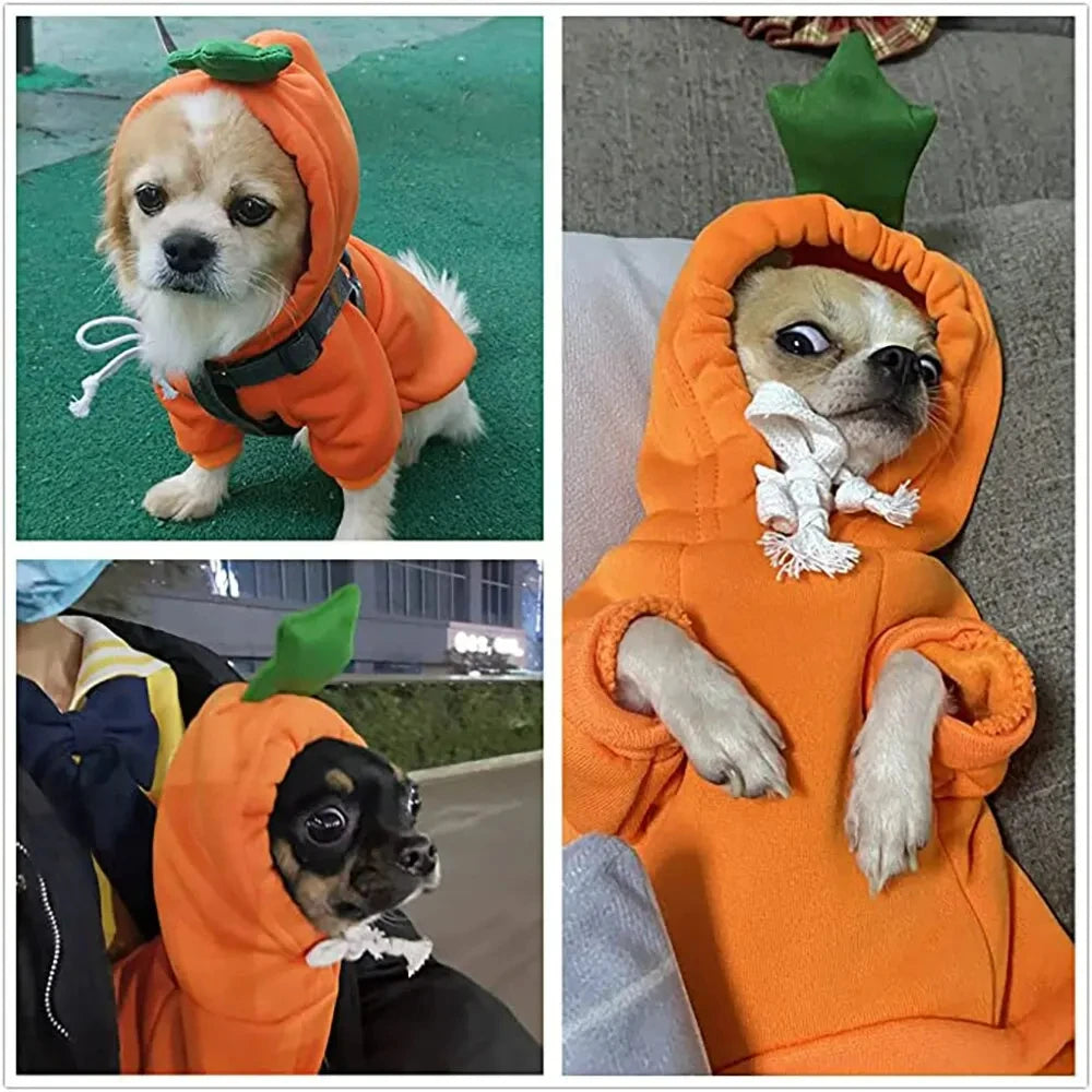 1pc New Dog Hoodie Clothes Cute Design Sweater Coat Carrot Shape Warm Fleece Outdoor Pet Outfit Outerwear for Dogs Puppy